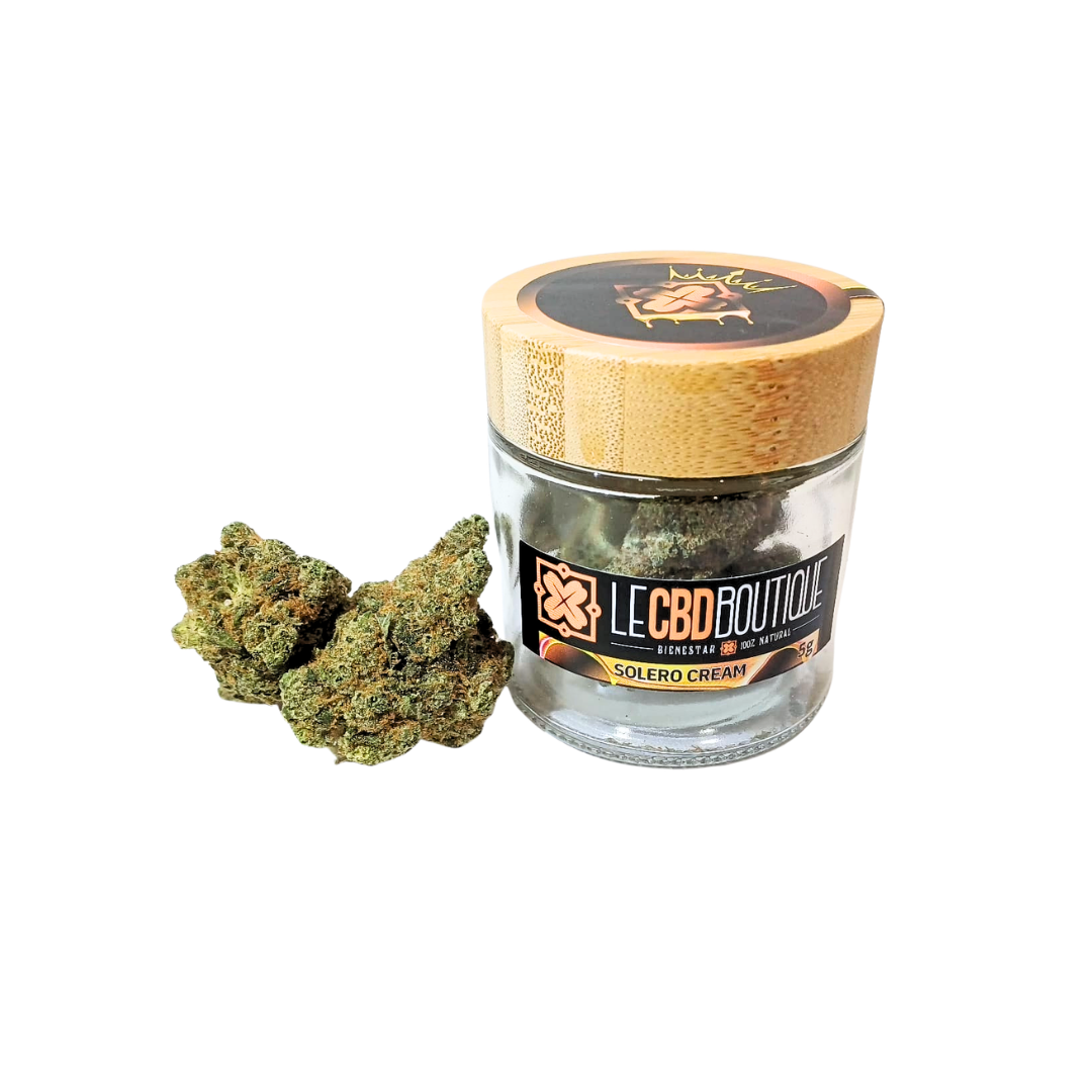 SOLERO flor Premium
