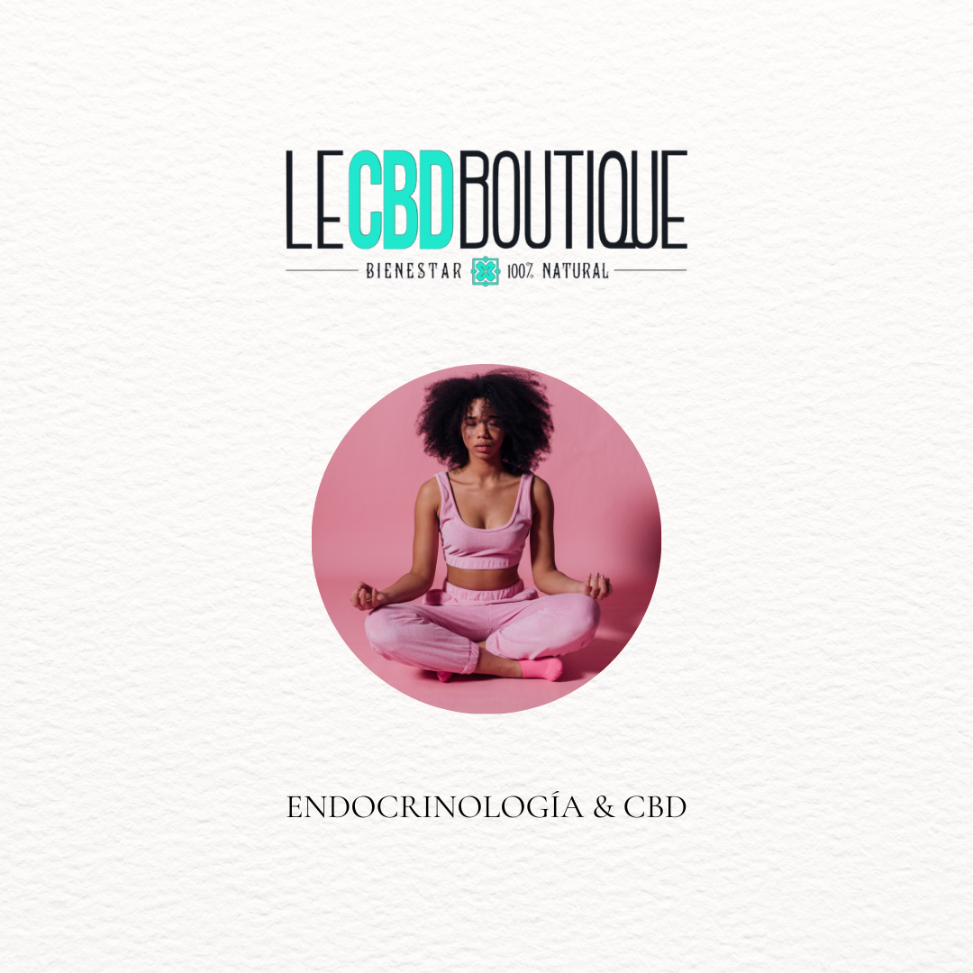 Endocrinología & CBD