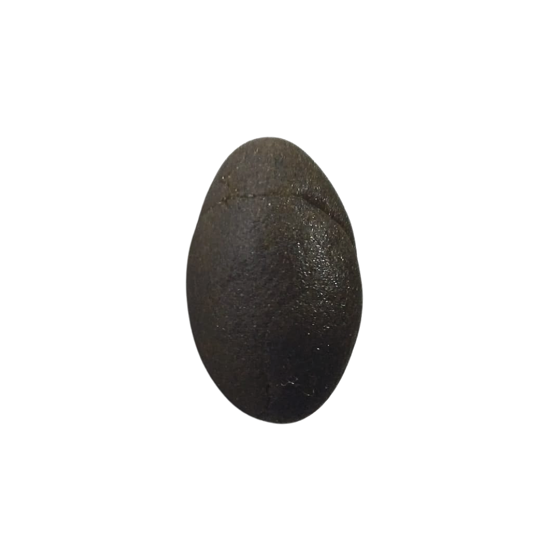 STV casablanca hash