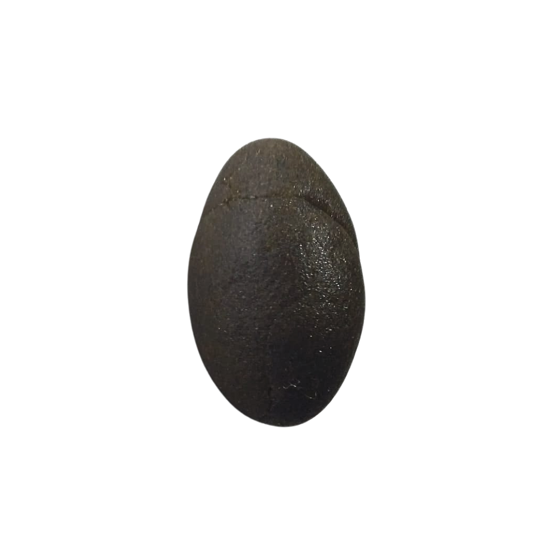 STV casablanca hash