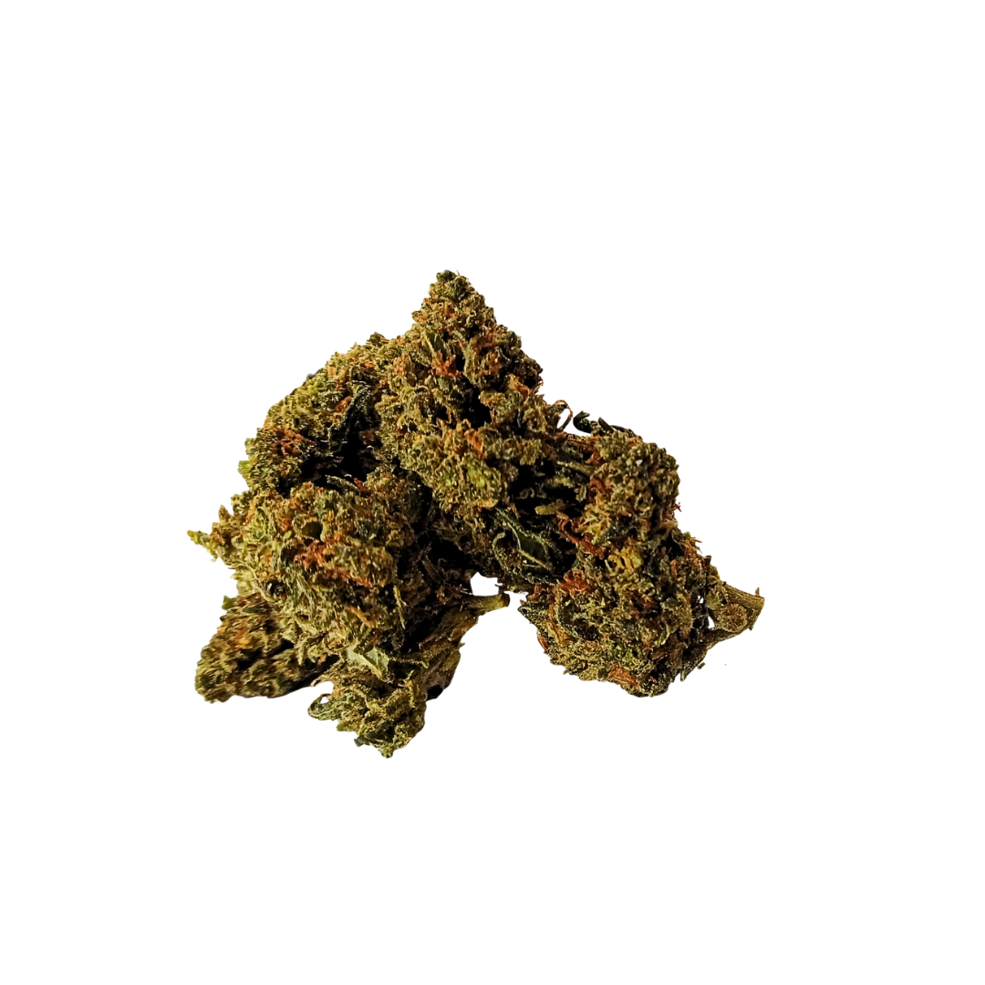 GORILLA FLOR STV