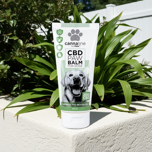 Cannaline for Pets Bálsamo de CBD para la Pata del Perro 200mg CBD (100ml)