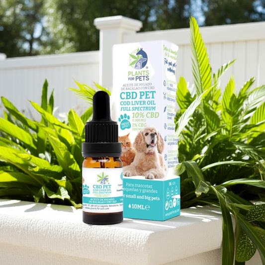 Plants for Pets – Aceite de CBD con Hígado de Bacalao para Mascotas (10 ml) – Espectro Completo