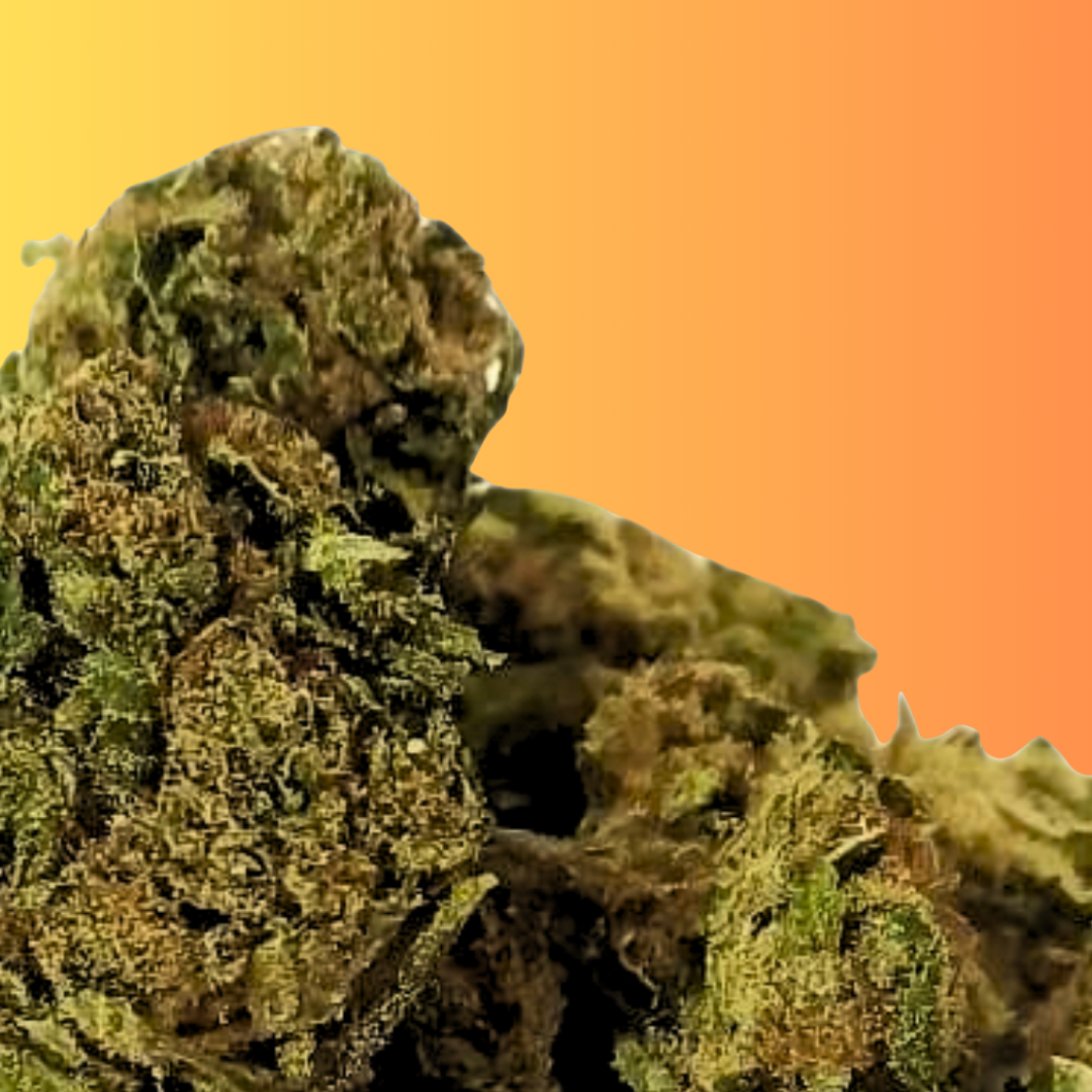 Zombie kush